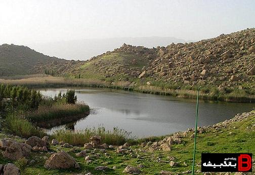 تالاب بیشه دالان، فرصتی برای رونق گردشگری طبیعت/ کاهش مساحت تالاب به علت زهکشیهای متعدد کشاورزان تالاب بیشه دالان، فرصتی برای رونق گردشگری طبیعت/ کاهش مساحت تالاب به علت زهکشیهای متعدد کشاورزان