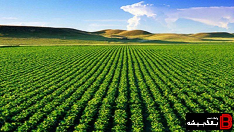 تثبیت ۱۹۹۵ هکتار از اراضی کشاورزی لرستان تثبیت ۱۹۹۵ هکتار از اراضی کشاورزی لرستان
