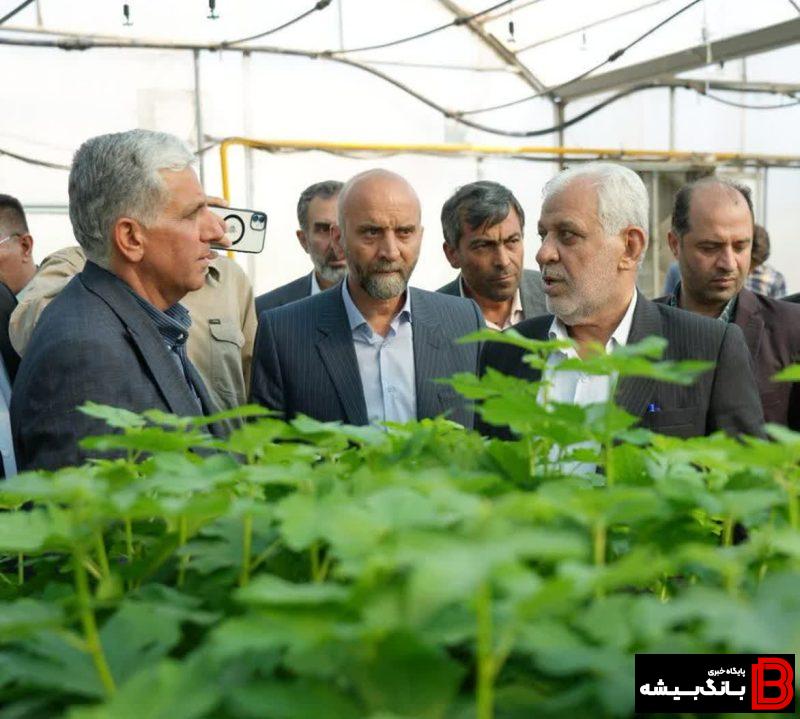 کشت و صنعت لرستان ظرفیتی کلان برای تولید گیاهان دارویی کشت و صنعت لرستان ظرفیتی کلان برای تولید گیاهان دارویی