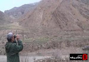 دستگیری متخلف زیست محیطی در منطقه حفاظت شده سفیدکوه خرم آباد دستگیری متخلف زیست محیطی در منطقه حفاظت شده سفیدکوه خرم آباد