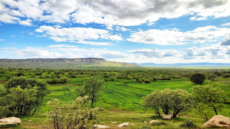 بهار در اشترانکوه؛ استان لرستان