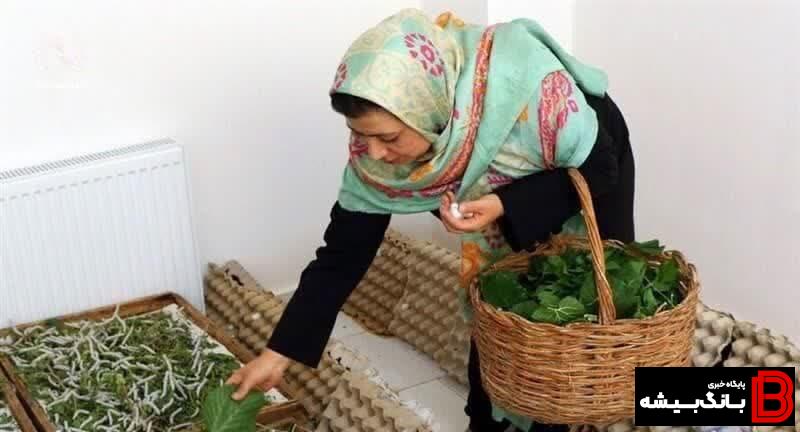 پرداخت یک هزار و ۲۵۳ میلیارد ریال تسهیلات مشاغل خانگی در لرستان پرداخت یک هزار و ۲۵۳ میلیارد ریال تسهیلات مشاغل خانگی در لرستان