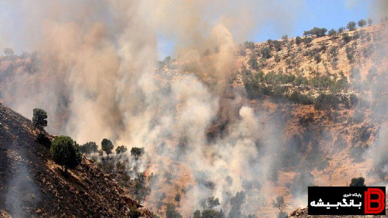 آتش سوزی در ۷۳.۵ هکتار جنگل و مرتع لرستان