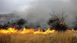 ۱۹ عامل آتش سوزی جنگل های لرستان به مراجع قضایی معرفی شدند