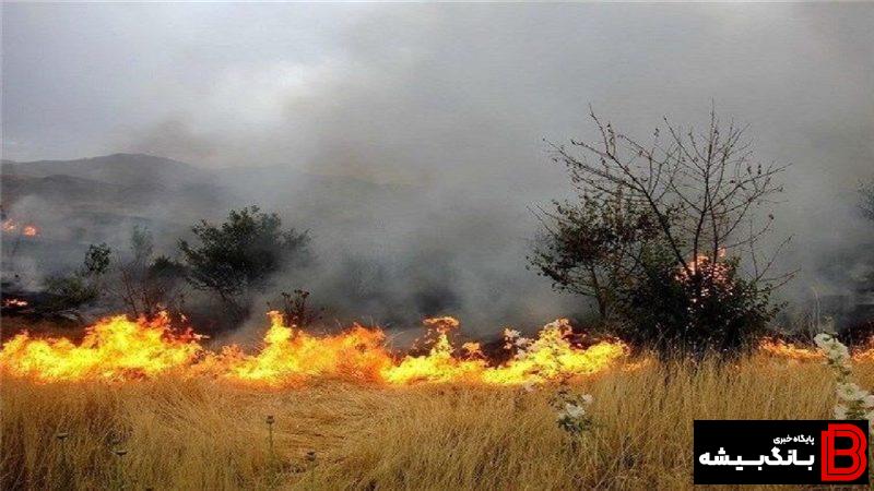 ۱۹ عامل آتش سوزی جنگل های لرستان به مراجع قضایی معرفی شدند