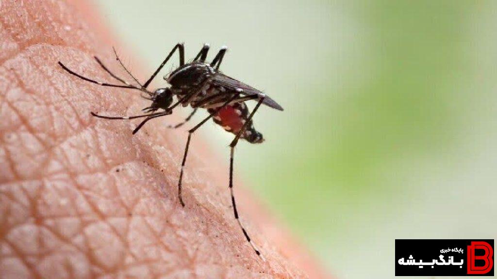 آماده باش مراکز درمانی لرستان برای مقابله با تب دنگی
