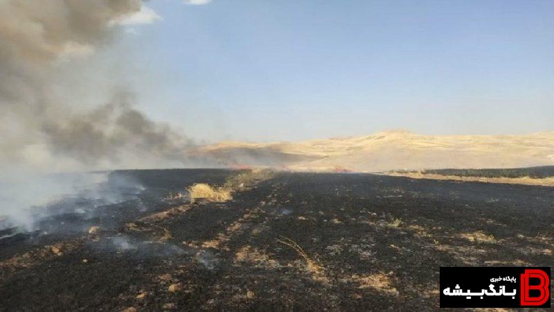 حریق در مناطق حفاظت شده اشترانکوه در لرستان