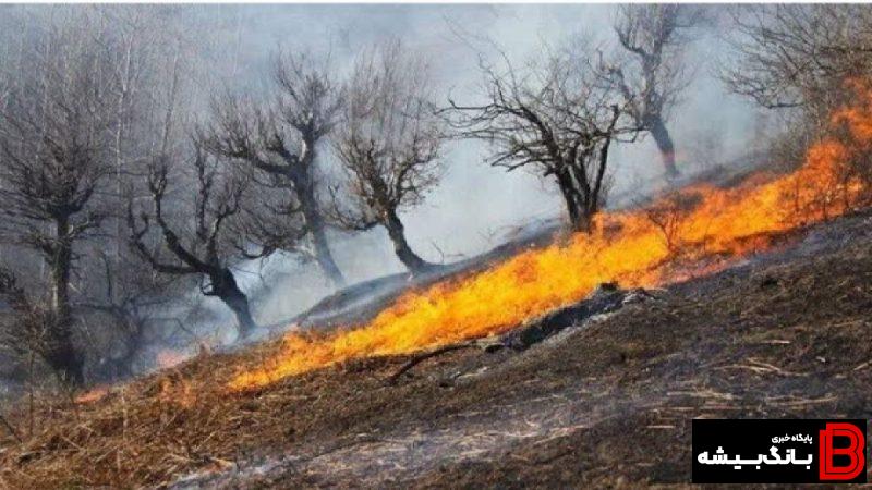 ۲۵۱ هکتار مزارع کشاورزی لرستان طعمه حریق شد