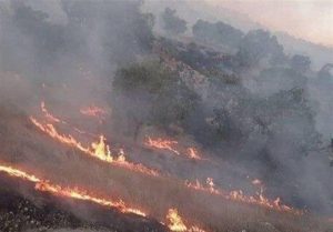 آتش‌سوزی در ۳۵ هکتار از مناطق حفاظت‌شدۀ لرستان