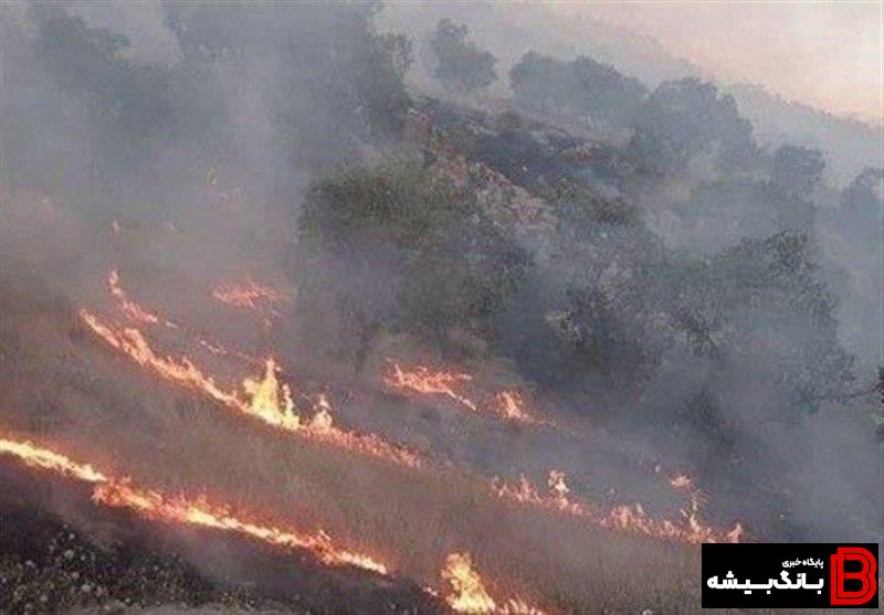 آتش‌سوزی در ۳۵ هکتار از مناطق حفاظت‌شدۀ لرستان