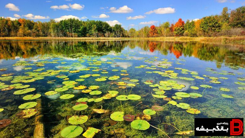 اسناد مالکیت تالابهای لرستان صادر می شود اسناد مالکیت تالابهای لرستان صادر می شود