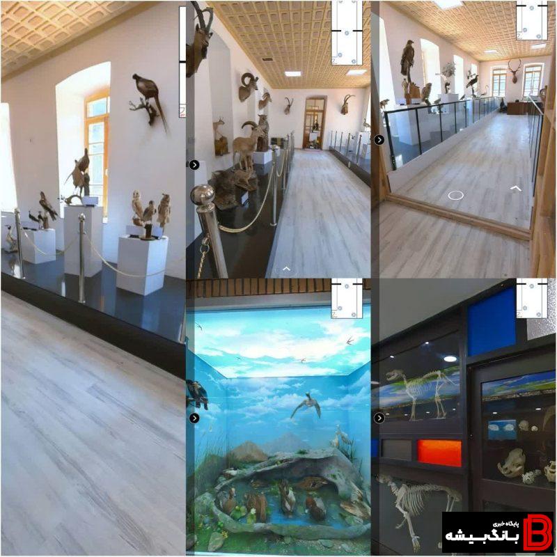 راه اندازی اولین موزه مجازی تاریخ طبیعی کشور در لرستان راه اندازی اولین موزه مجازی تاریخ طبیعی کشور در لرستان