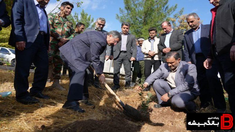 کاشت نهال در بام لرستان به یاد جوان حافظ طبیعت