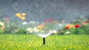 لرستان تشنه، فضای سبز سیراب! چرا از آب شرب برای آبیاری استفاده می‌شود؟