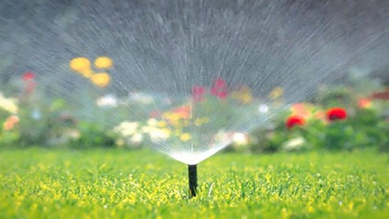 لرستان تشنه، فضای سبز سیراب! چرا از آب شرب برای آبیاری استفاده می‌شود؟