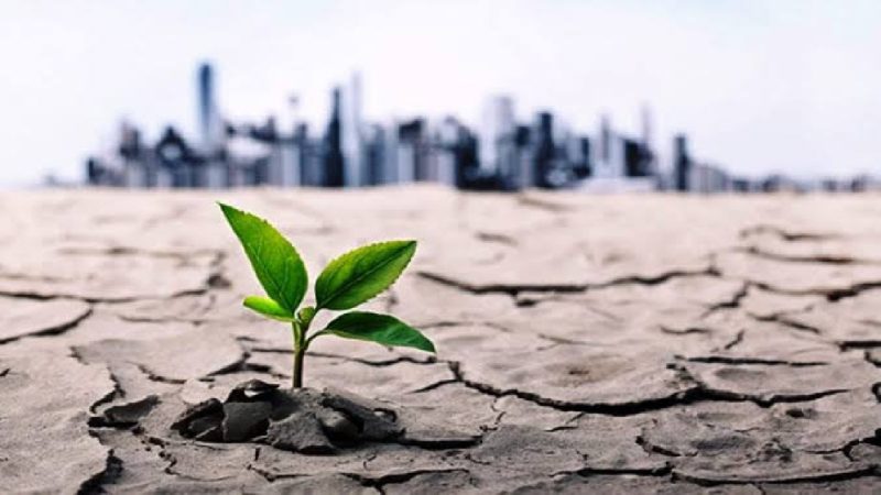 لرستان پس از آب؛ آینده یک استان بدون منابع پایدار لرستان پس از آب؛ آینده یک استان بدون منابع پایدار