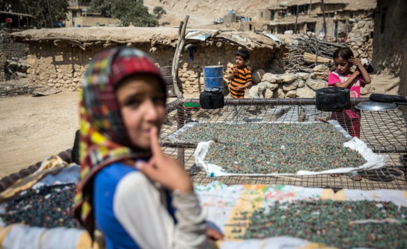 زندگی در انتظار وصل شدن؛ داستان هر روزه روستاهای لرستان