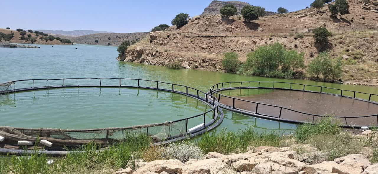 سد هاله؛ کانون توسعه آبزی‌پروری در لرستان