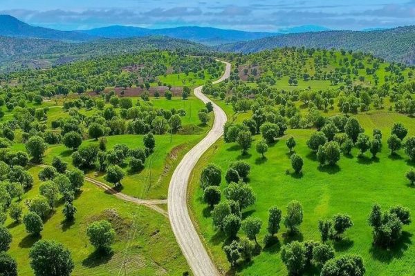 لرستان، بهشت سبز ایران؛ از زخم آتش تا امید به حفاظت